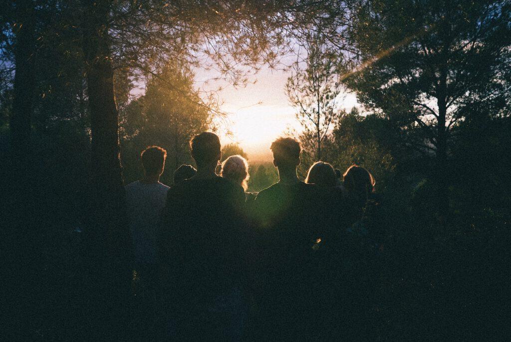 community of people in forest watching a sunset