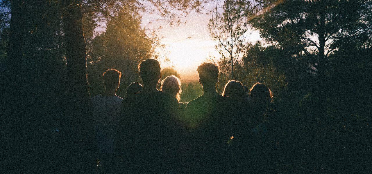 community of people in forest watching a sunset