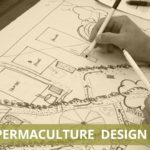 drawing a permaculture design blueprint