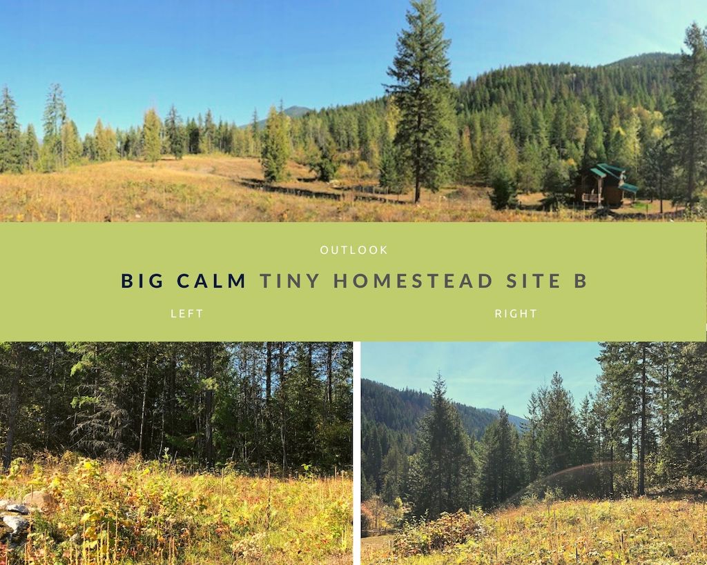 Big Calm Tiny Homesteads site B photos