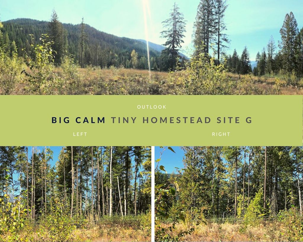 Big Calm Tiny Homesteads site G photos