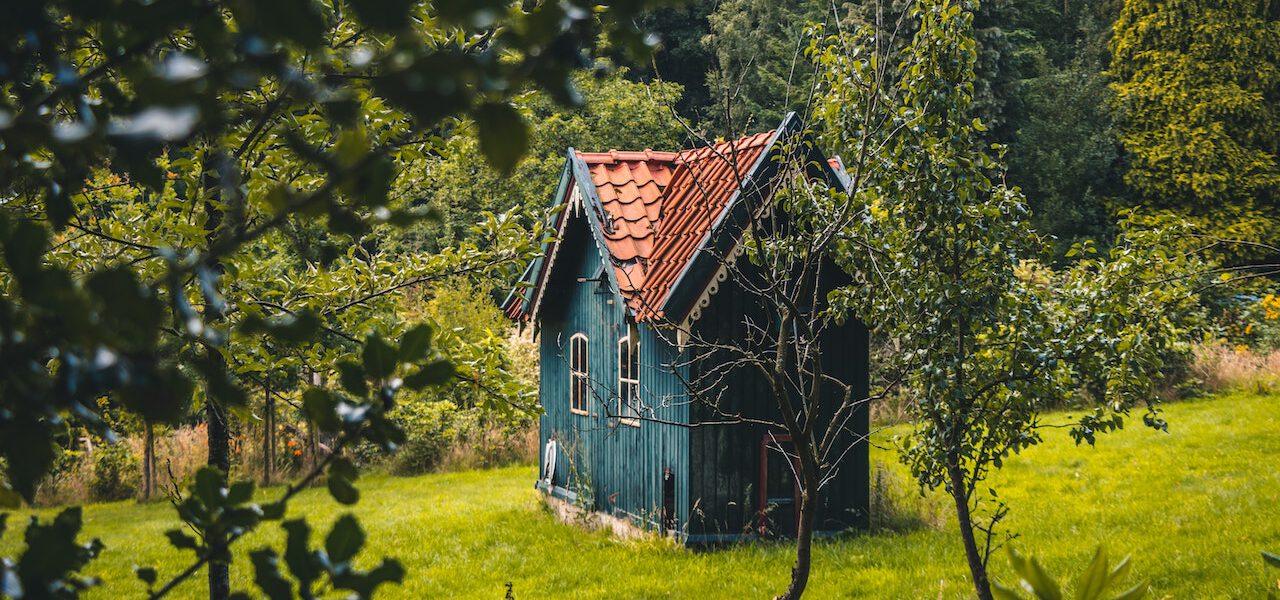 A blue tiny house sits in a peaceful verdant meadow