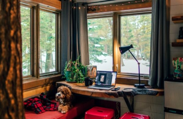 Cozy tiny house interior with small dog on a couch near a window