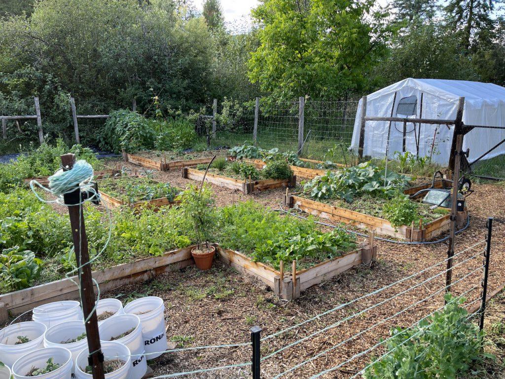 Lush green garden and greenhouse
