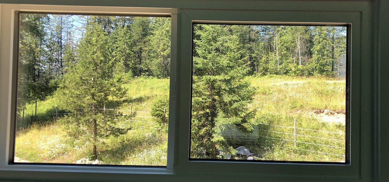 Beautiful forest outside of a tiny house window