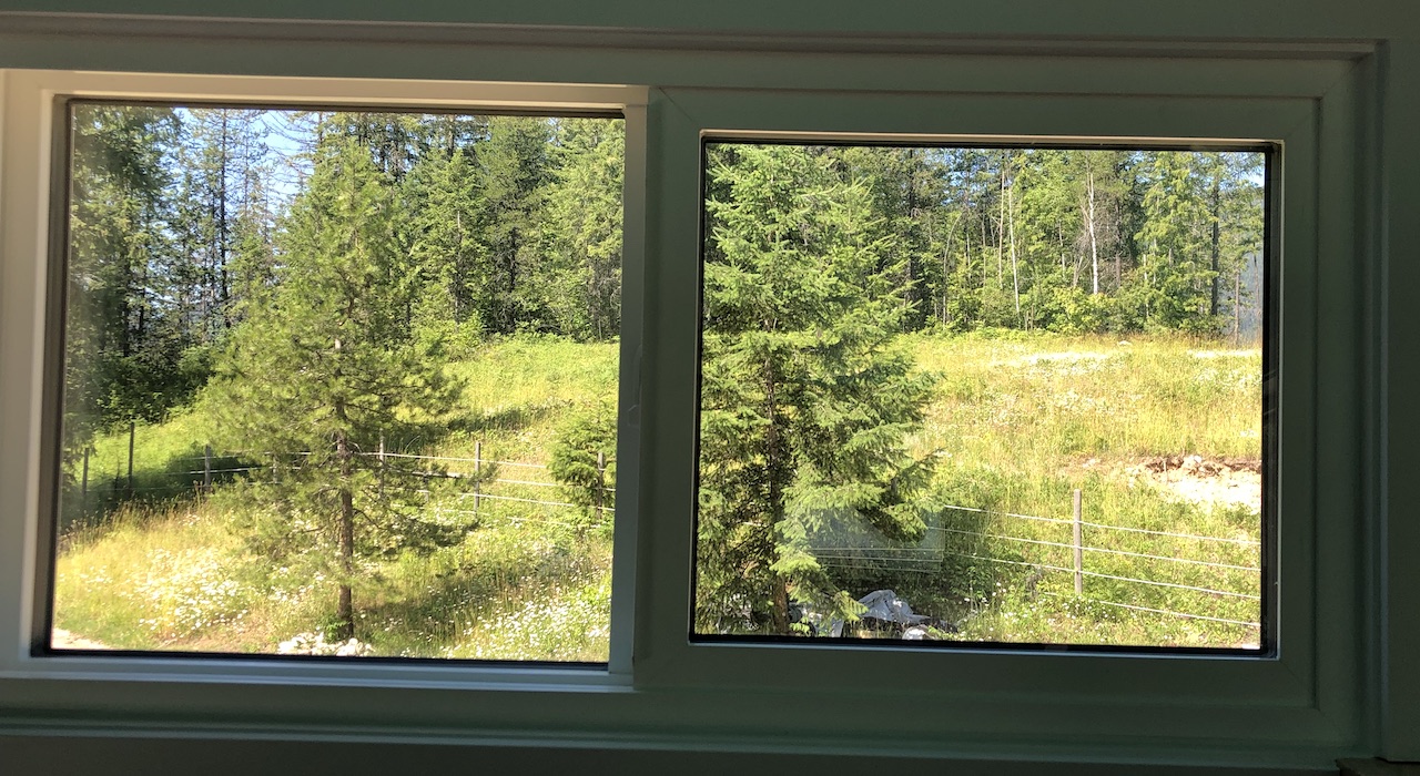 Beautiful forest outside of a tiny house window