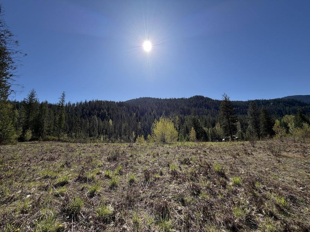Outlook | Sunrise | Spring