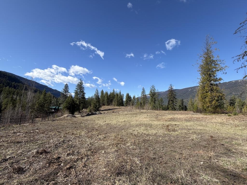 Meadow